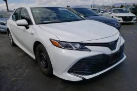 Toyota, Camry