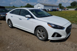 Hyundai, Sonata