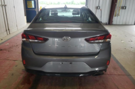 Hyundai, Sonata