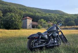 Harley-Davidson, Sportster 883