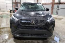 Toyota, RAV4