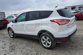 Ford, Escape