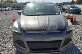 Ford, Escape