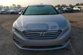 Hyundai, Sonata