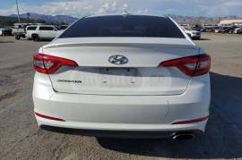 Hyundai, Sonata